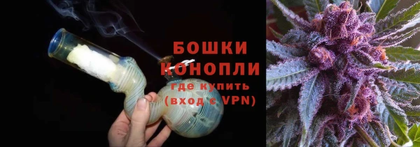 дмт Бородино