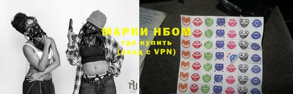 PSILOCYBIN Верхний Тагил