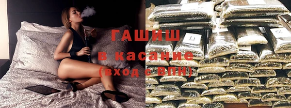 дмт Бородино