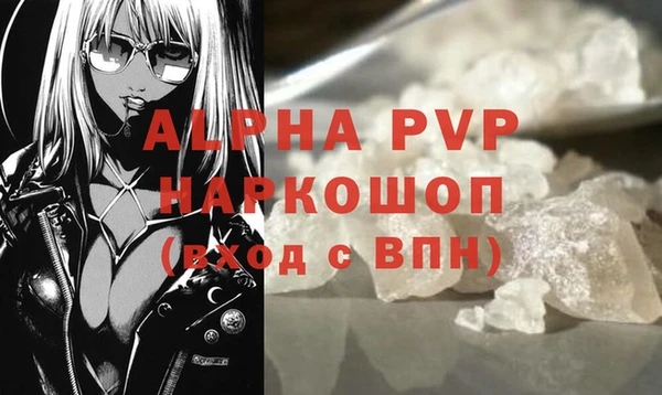 дмт Бородино