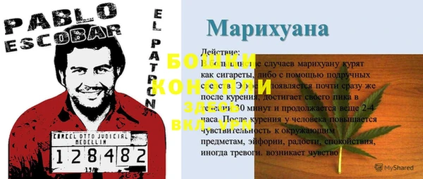 гашик Белоозёрский